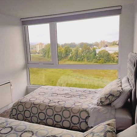 Apartamento Departamento Vista Humedal - Isla Teja Valdivia Exterior foto